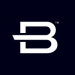 Brunswick Corporation logo