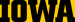 University of Iowa Center for Advancement logo